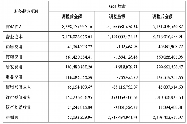 金东金东的要账公司在催收过程中的策略和技巧有哪些？