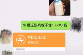 金东专业讨债公司，追讨消失的老赖